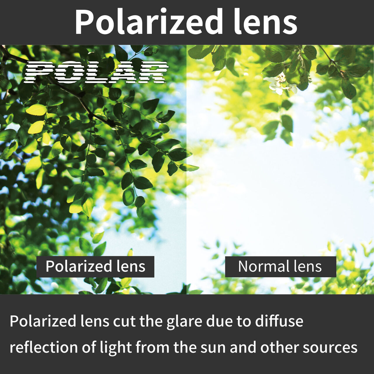 CLIP ON SCP-12,, large image number 4